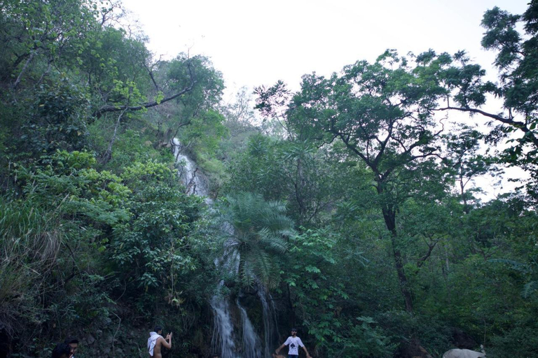 Others 4, Perfect stayz Premium Forest Valley Near Waterfall, Tehri Garhwal