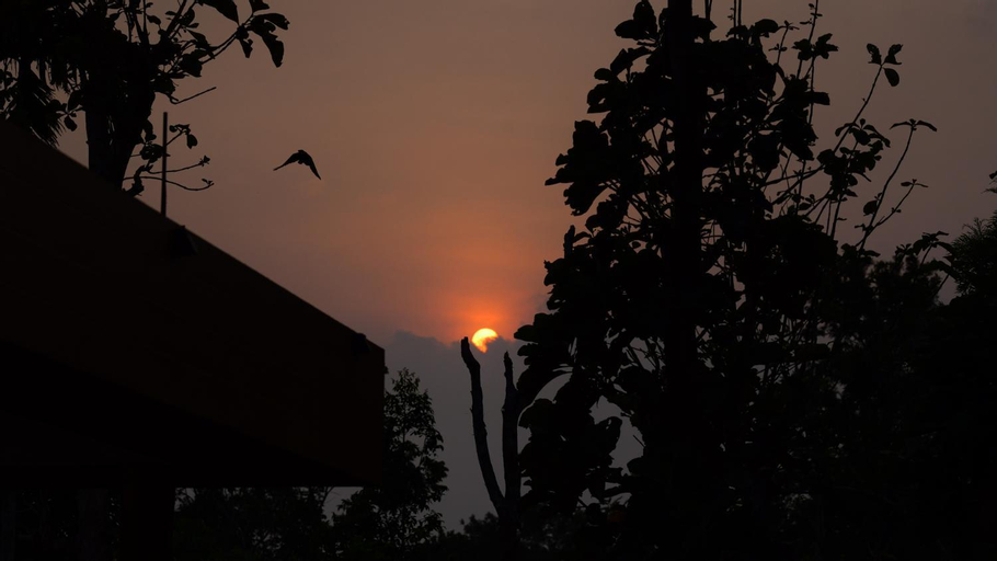 Others 3, ANNUS HOMESTAY RAMAKKALMEDU, Theni