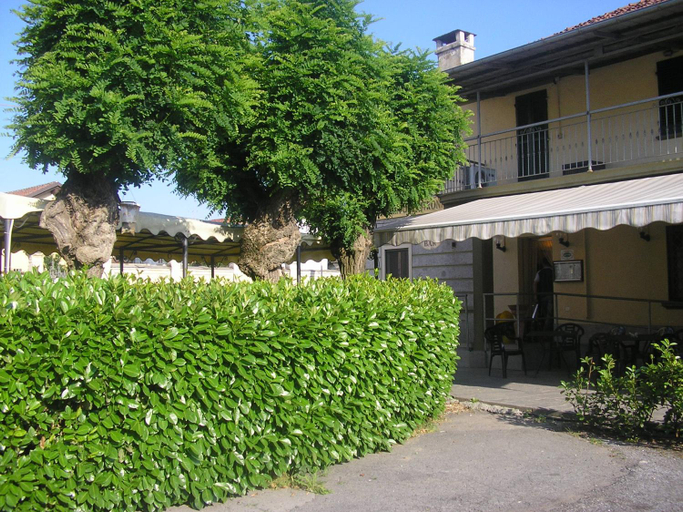 Trattoria Due Citroni, Cuneo