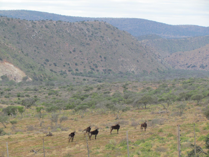 Others 3, Zungah Lodge, Cacadu