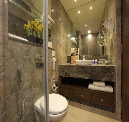 Bathroom 3, Peerless Inn Kolkata, Kolkata