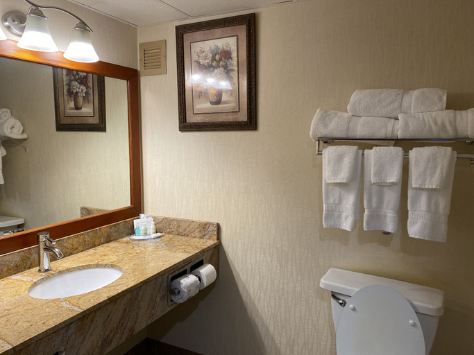 Bathroom 4, Clarion Hotel Conference Center on Lake Erie, Chautauqua