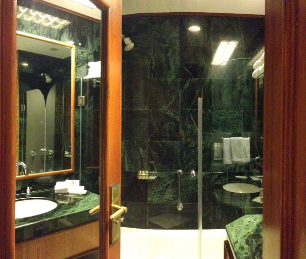 Bathroom 4, Trident, Jaipur, Jaipur