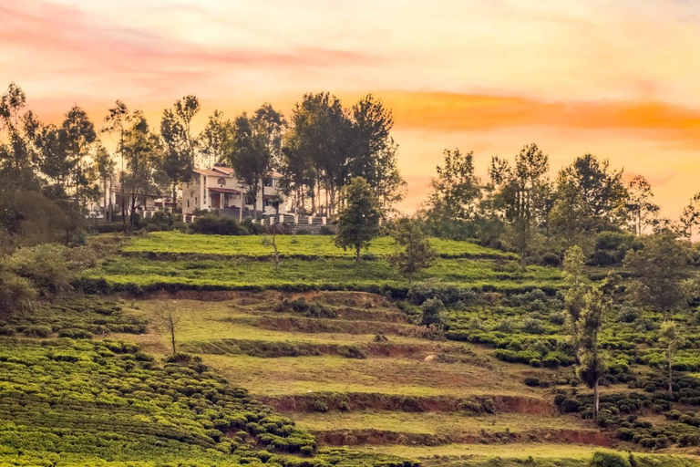 Others 5, StayVista at Villa Misty Oaks with Breakfast, The Nilgiris