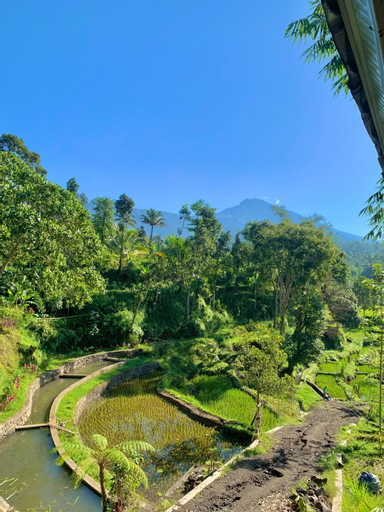 Scenery 9
