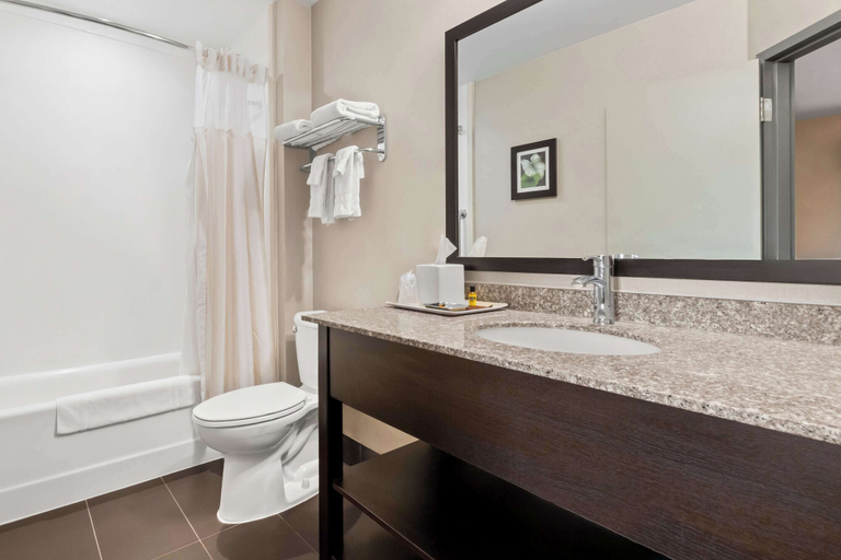 Bathroom 4, Best Western Plus Fergus Hotel, Wellington