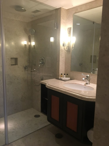 Bathroom 3, St Marks Hotel, Bangalore