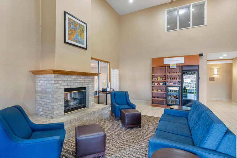 Public Area 3, Comfort Suites Normal University area, McLean