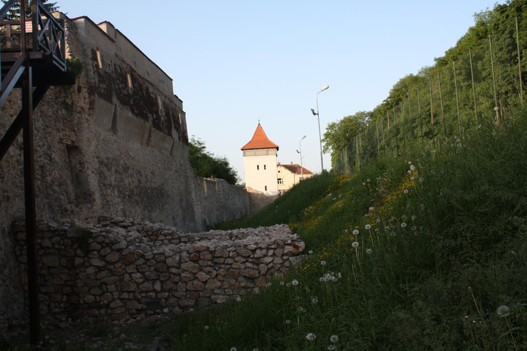 Others 3, Casa Schei, Brasov