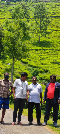 Others 5, cottage, The Nilgiris
