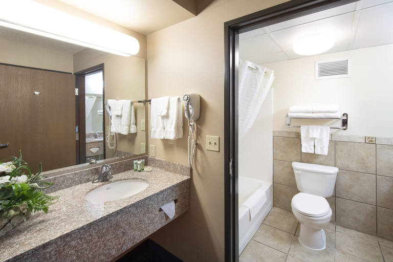 Bathroom 4, Hotel Glenwood Springs, Garfield