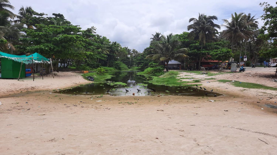 4, Marari La Rose Beach Homestay, Alappuzha