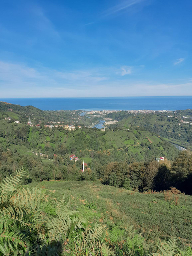 Others 2, Elit Bungalov, Ardeşen
