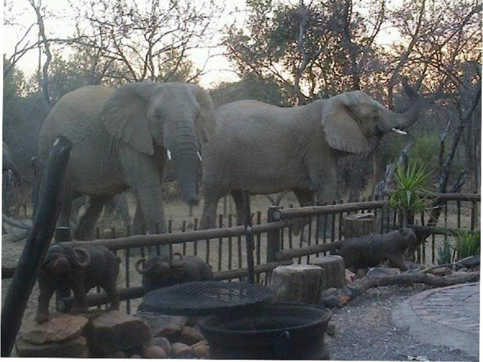Others 2, Hornbill Private Lodge Mabalingwe, Waterberg