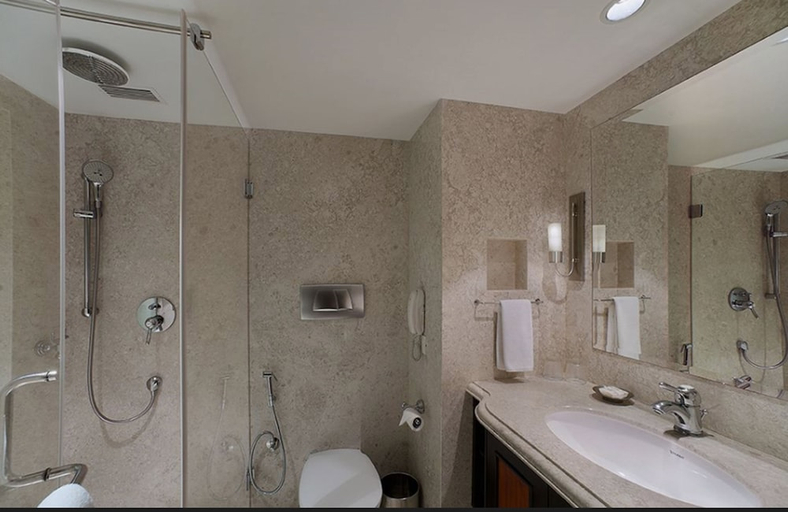 Bathroom 3, St Marks Hotel, Bangalore