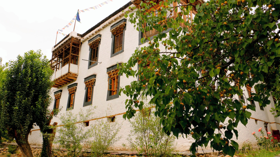 Exterior & Views 2, Nimmu House Ladakh, Leh