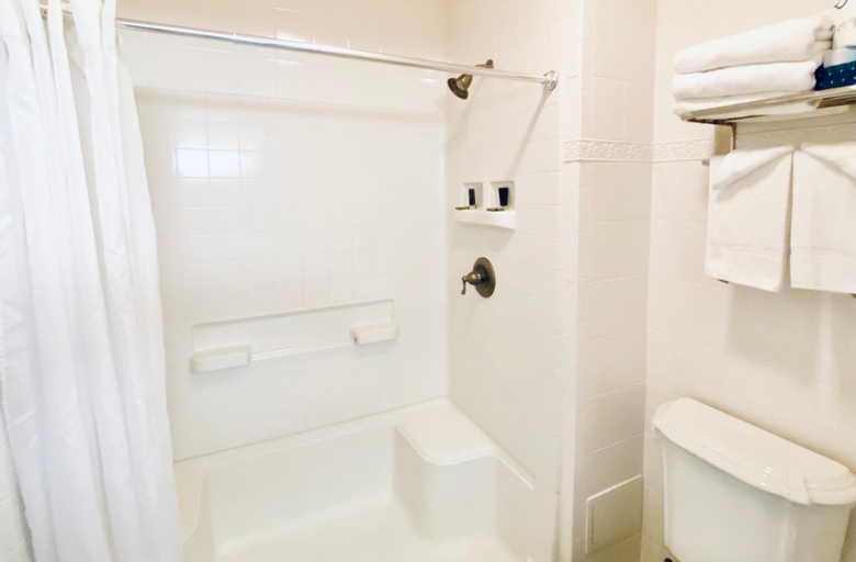 Bathroom 4, Royal Inn Hotel, Palm Beach