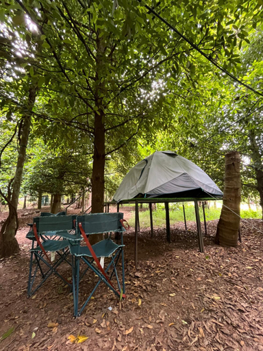 Others 5, Dragster Tents, Thrissur