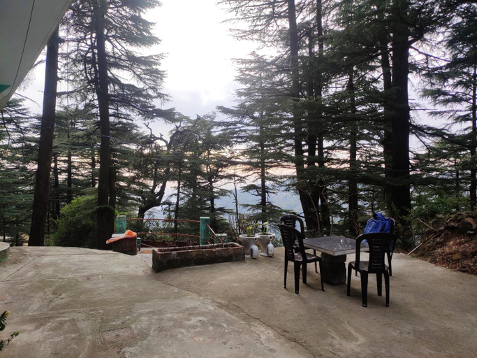 Food & Drinks, Shree Guest House, Kangra