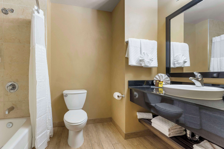 Bathroom 4, Best Western Plus Oceanside Palms, San Diego
