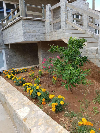 Sofia's Holiday Apartment, Vlorës