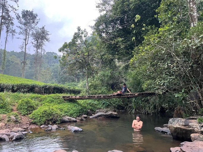 Others 2, PEARL HUT home stay vythiri Wayanad, Wayanad