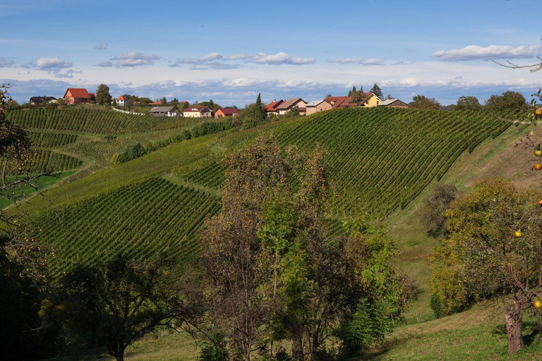Others 2, Wine & Tourism Bracko, Pesnica