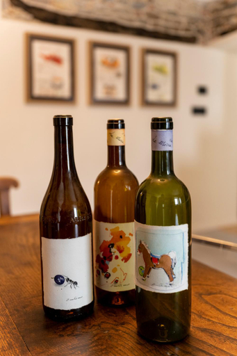 Food & Drinks 4, Casa del Maestro-Appartamenti d'Arte, Cuneo