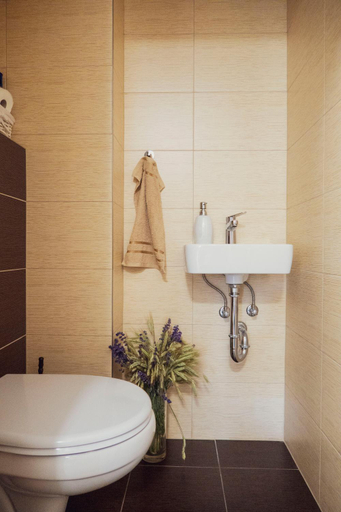 Bathroom 2, Na Kopecku apartmany, Trutnov