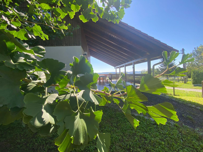 Others 4, Ginkgo House, Zalaszentgrót