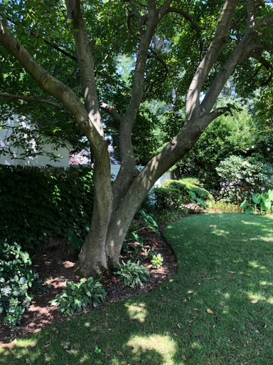 Others 4, Cheerful Studio Getaway/Garden/By Lake State Park., Nassau