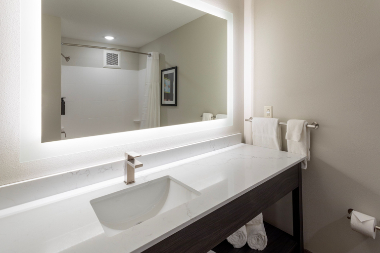 Bathroom 4, GrandStay Hotel & Suites, Polk