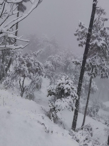 Others 5, The Heavens, Almora