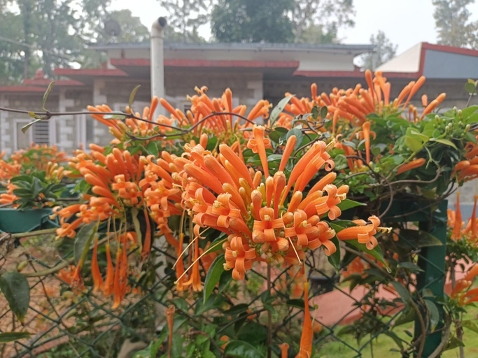 Others 2, Coorg Kolamotte, Kodagu
