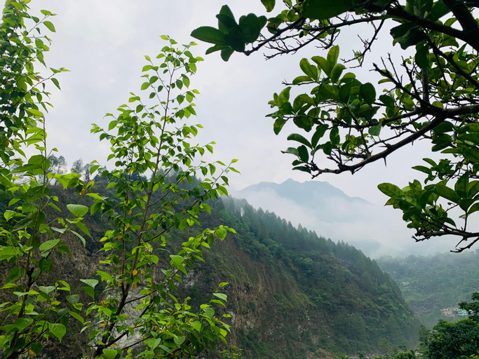 Exterior & Views 1, La Riviere Waterfront A Traditional Stay, Chamoli