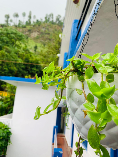 Exterior & Views 3, La Riviere Waterfront A Traditional Stay, Chamoli