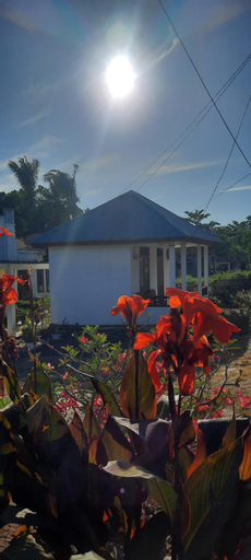 Exterior & Views 4, Dave Homestay, North Minahasa