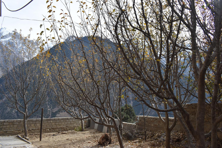 Others 3, Sonam Homestay Reckong Peo, Kinnaur