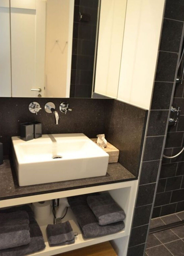 Bathroom 3, 6 in het Huis Meerloft, Aurich