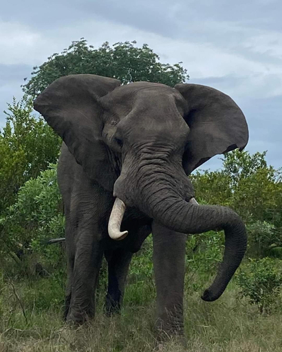Others 5, Overnight Stop Before Kruger National Park, Mopani