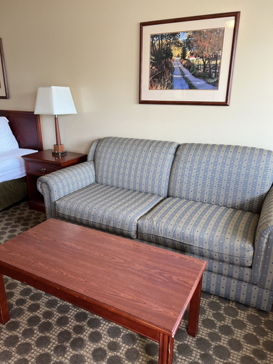 Others 5, Travelodge by Wyndham Drumheller, Division No. 5