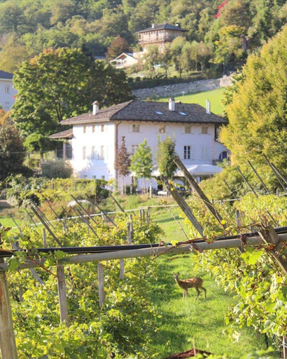 Others 5, Agritur Cantina Romanese, Trento