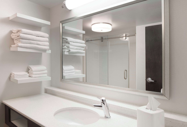 Bathroom 4, Hampton Inn Charleston-Southridge, Kanawha