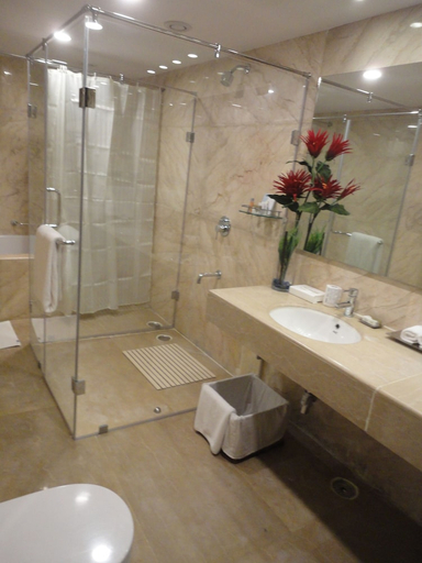 Bathroom 4, Fortune Select Grand Ridge, Chittoor