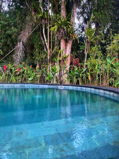 Swimming Pool 9
