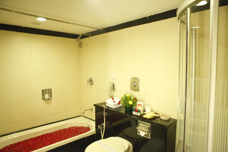 Bathroom 4, Bliss, Chittoor