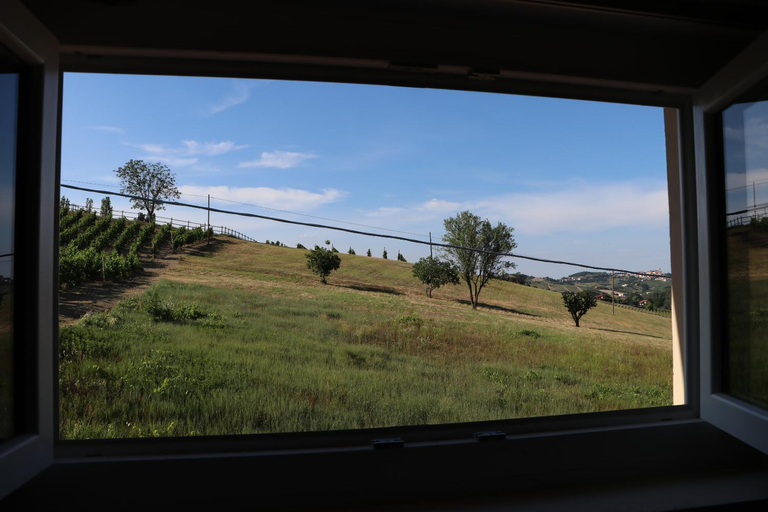 Scenery 15