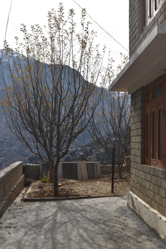 Exterior & Views 1, Sonam Homestay Reckong Peo, Kinnaur