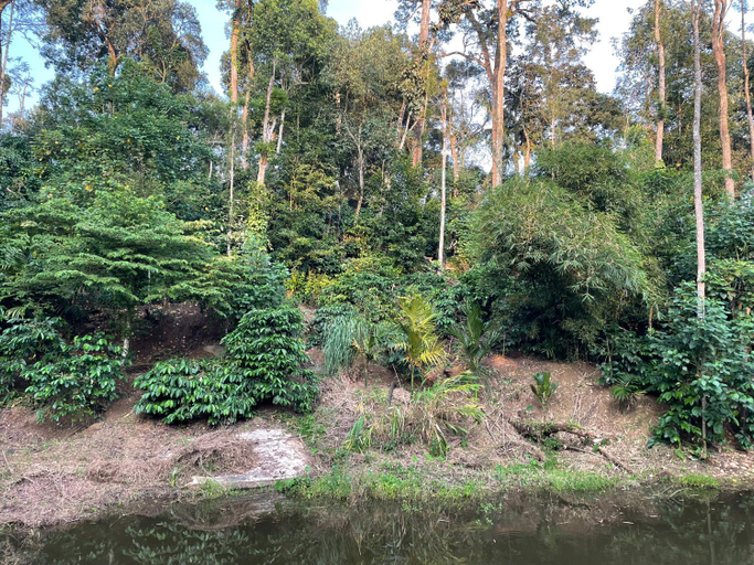 Others 3, Coorg Northbreeze Estate stay, Kodagu