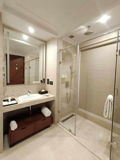 Bathroom 5, Radisson Hotel Kufri Shimla, Shimla